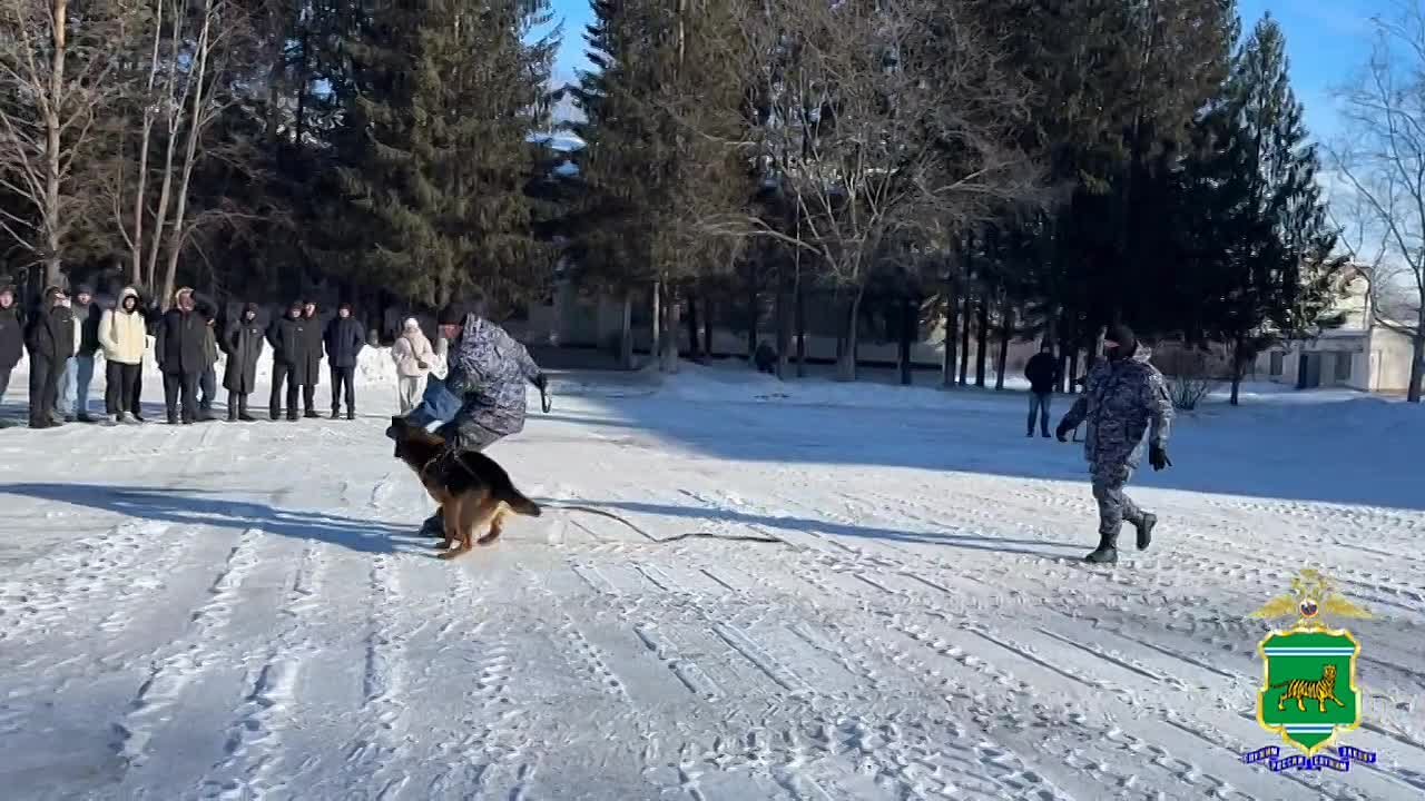 В День российского студенчества в Еврейской автономной области завершилась традиционная всероссийская акция «Студенческий десант»