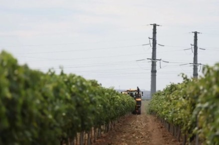 ��������� ������: ��� ������� �������� ������ �� �������������