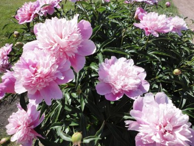 ������������ ������: ��� �������� ������� � ������� ������� �������