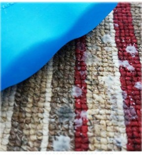 ��� ������ ���� � �����: ������� �������