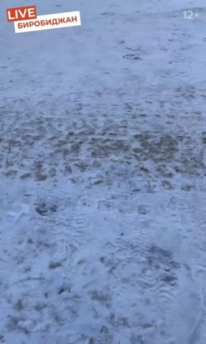 ���� �� ������ ��� �����?. ����� ����� ���������, ������ ����, ������� ���� ���� �����