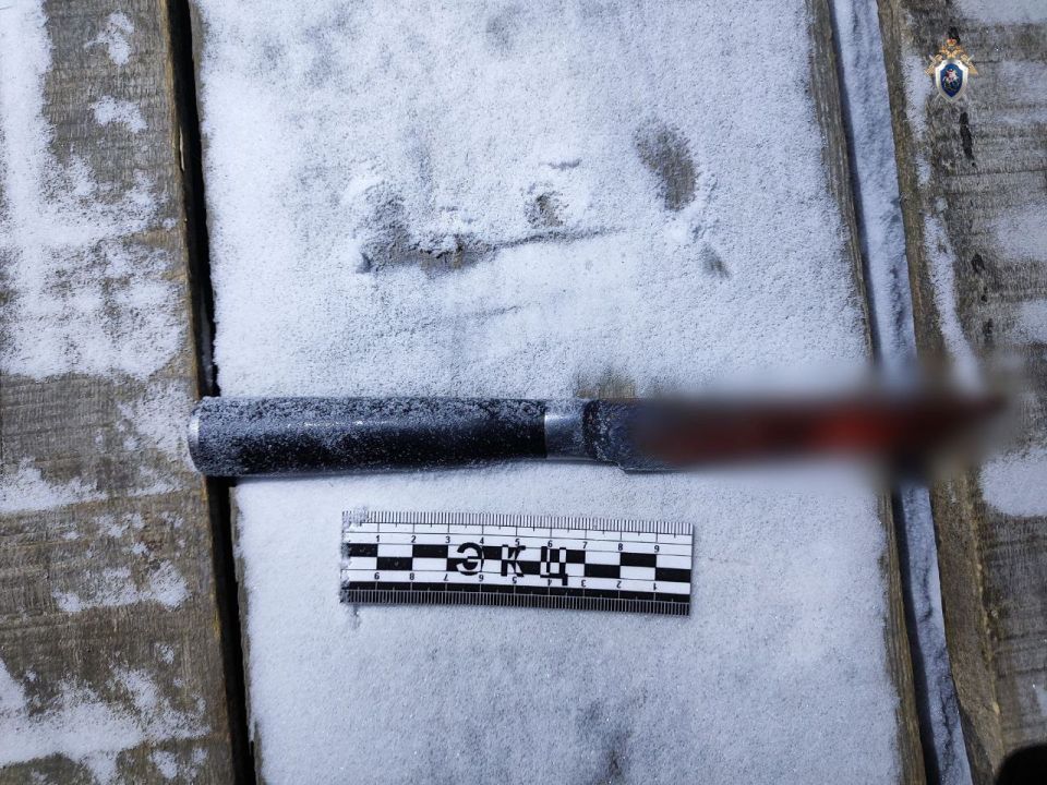 ���������� ������ ����� ���� ����������� ��������� � ��������