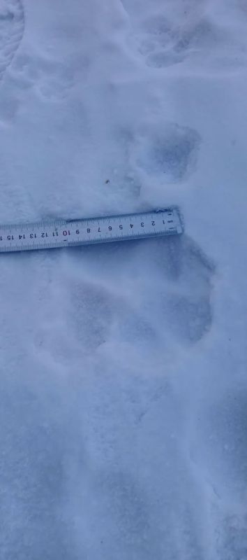 ������ ����� ����� ���������� ����� � ��������� ������� � ���