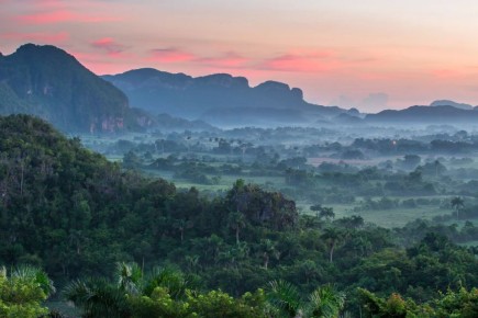 Редкое облако зелени Кубы: взгляд на эндемики verscheny