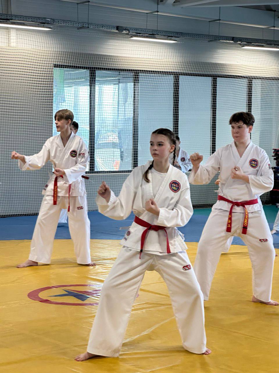 Аттестация на красные и чёрные пояса по тхэквондо ГТФ прошла в Биробиджане Аттестация на красные и чёрные пояса по тхэквондо ГТФ прошла в Биробиджане