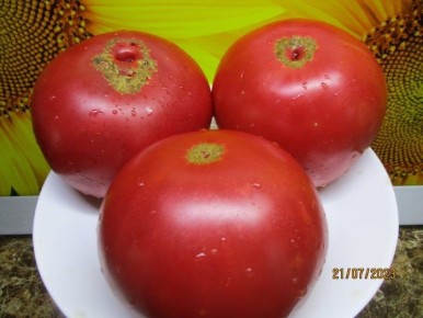 Томат Колесо обозрения: крупноплодный розовый томат для теплицы