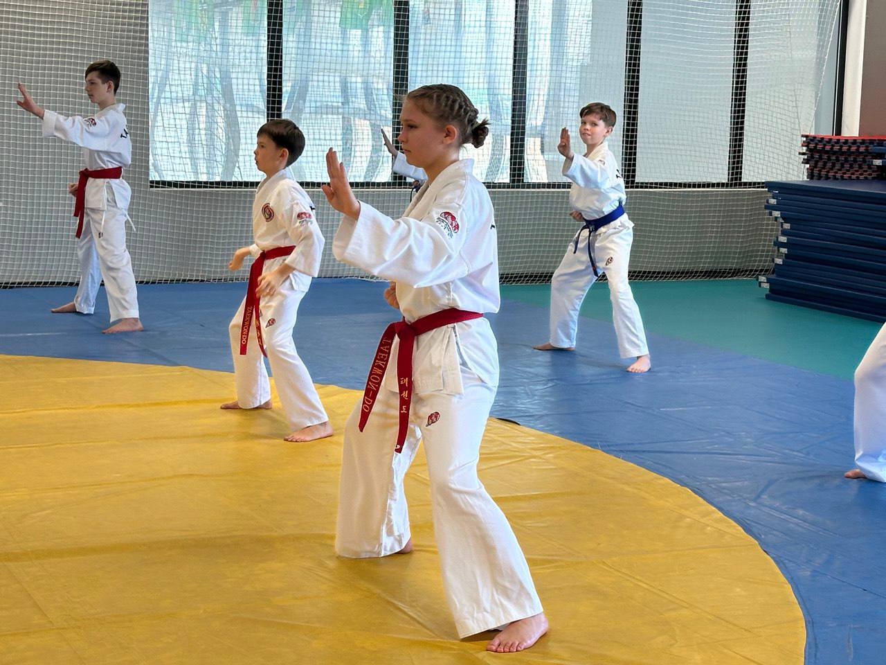 Аттестация на красные и чёрные пояса по тхэквондо ГТФ прошла в Биробиджане Аттестация на красные и чёрные пояса по тхэквондо ГТФ прошла в Биробиджане