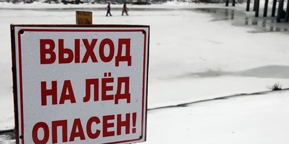 ˸� ������ ��� ������ ����������