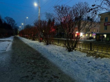 �� ����������� ��� ��� ������������ �� ���������� ����: