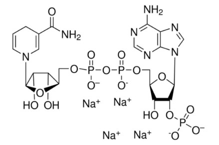������ ����� �������� ������ �������� � ��� �������� NAD ������ ������