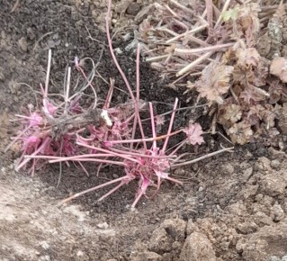 ����� � ��� ������ ����� ��� ��������� �����������