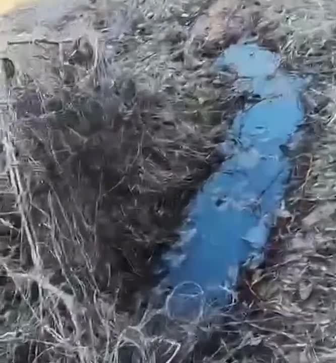 � ��������� ���������� ������� �������� ��������� ���������������� ��� ����������� ������������� � �������������������� ���������� �. �����������