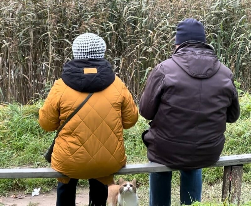 Пенсионеры России смогут бесплатно исследовать родные города с 19 января