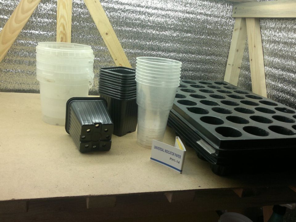 Выбор идеальной тары для рассады: что стоит знать