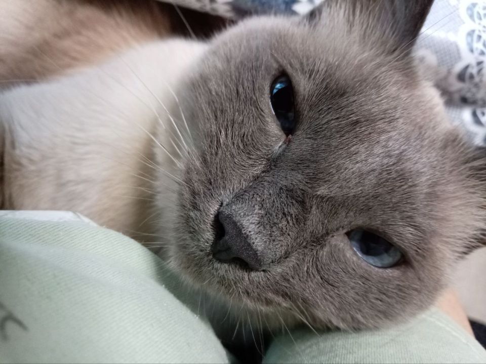 ������� � �������-����������