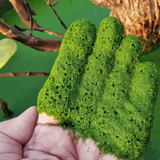 ��������� �������: �������� ��� ���� ����� ��������� ������ �� �����!