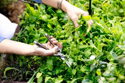 ������: ����� ����� ������������ ��� �����������