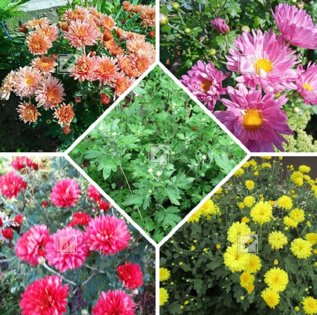 ���� ���������: ��� �������� ����� ��� �������� �����������