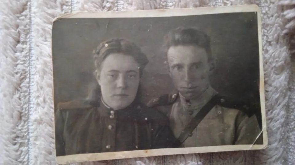 ���� ������: ���������� ������ ��������