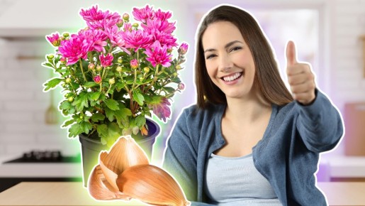 Цветы попрут как на дрожжах: садоводы нашли луковой шелухе неожиданное применение