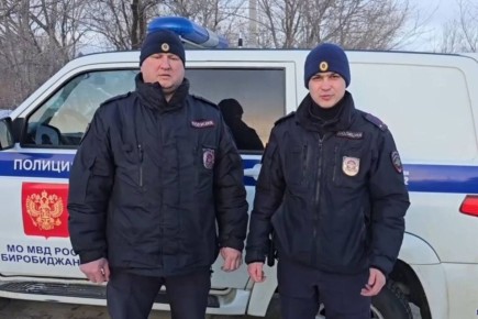 ���������� ������� ������� ���������� ������ 81-������� ����������