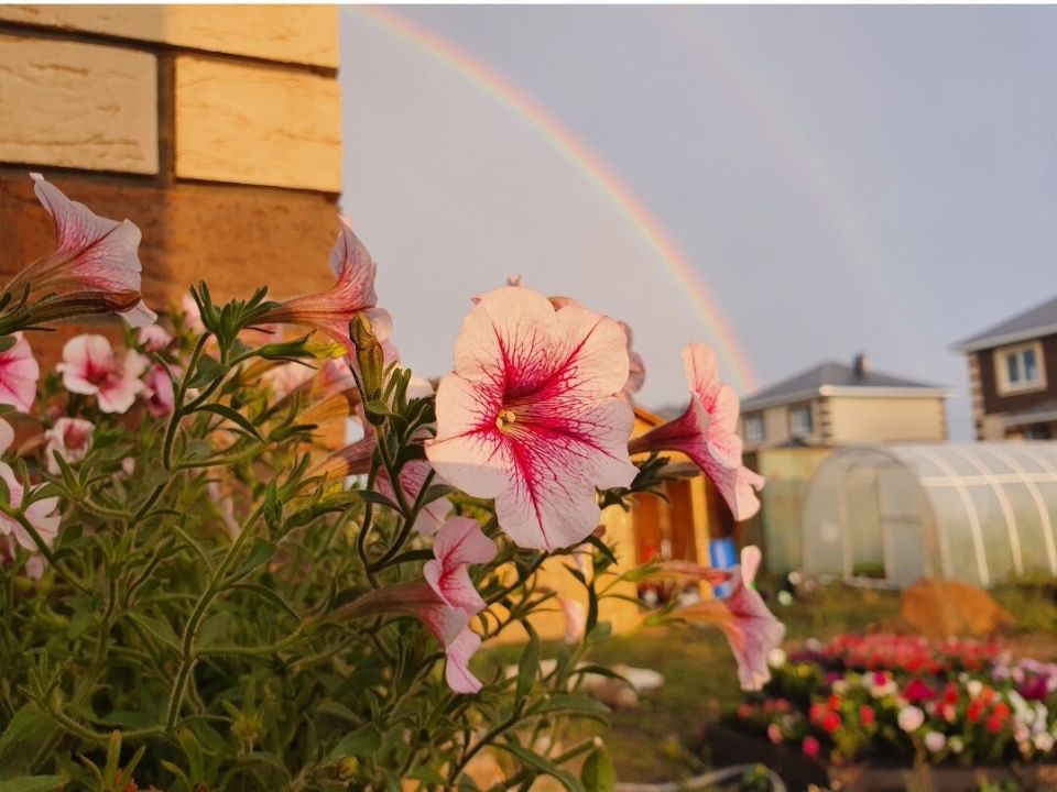 ������ �� ������ ��������: ����� �� ����� ��������