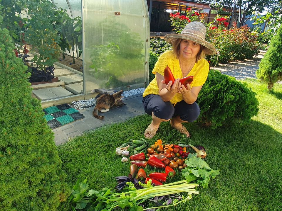 ������ � ����: ������ ��� ��������� ������ � 11 �� 17 �������