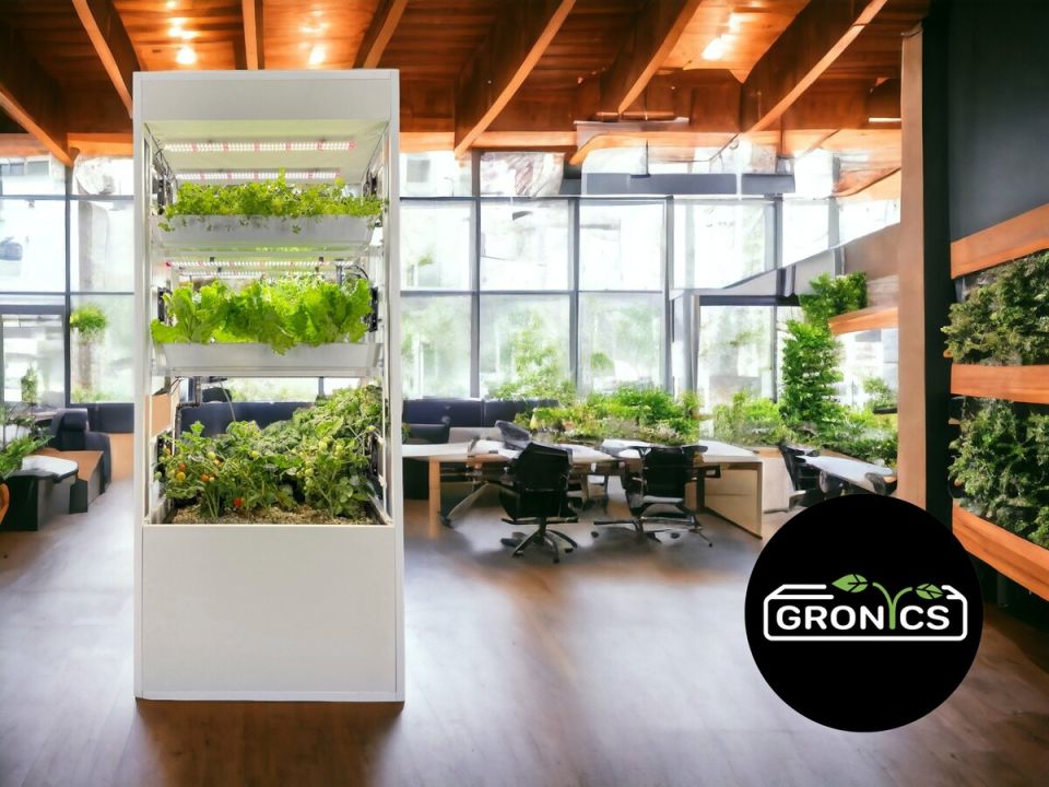 ������������ �����: ��������� � ��������� ��������������