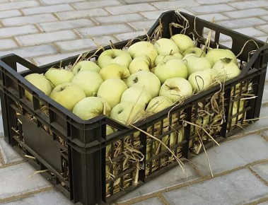 ������� ������� �������� �����: ��� ��������� �������� �� �����