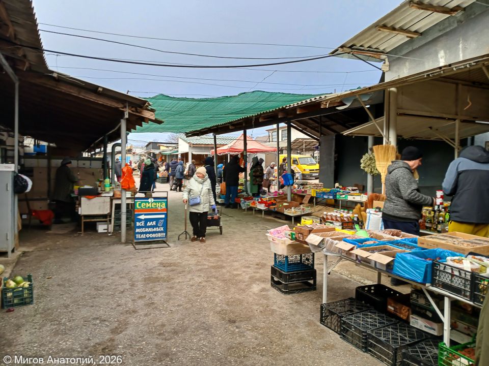 Холодный воскресный день на Старокрымском рынке: какой урожай принес зимний ветер