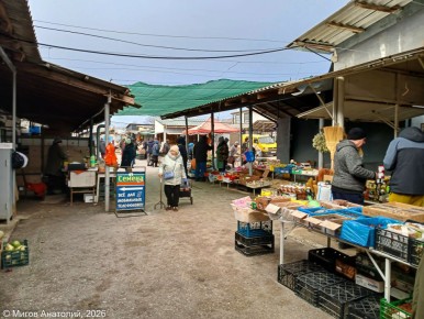 �������� ���������� ���� �� ������������� �����: ����� ������ ������ ������ �����