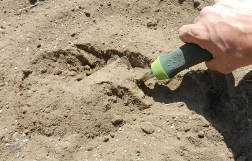 Секреты успешного выращивания огурцов и зелени на песчаной почве