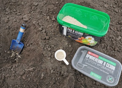 ��� �������� �������� ������ �����: ������� ��������� ����������� �����