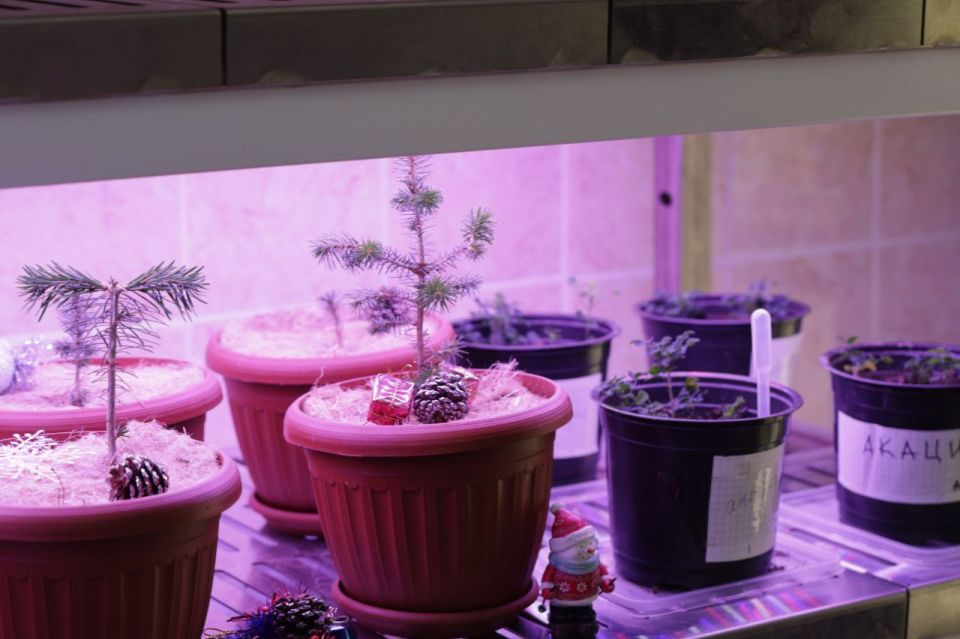 ���������� ������� ����������� ������� ���������� ��������� �� ������ � ����������������