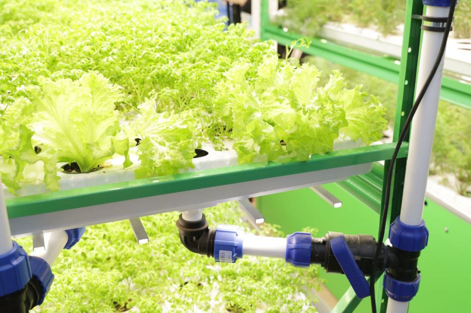 ���������� ������� ����������� ������� ���������� ��������� �� ������ � ����������������