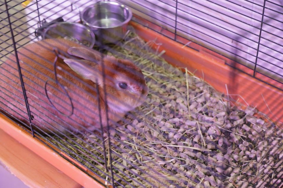 ���������� ������� ����������� ������� ���������� ��������� �� ������ � ����������������