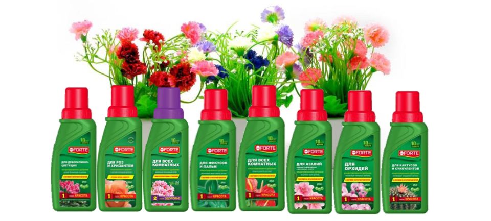 ��� ��������� ������������� ��������, ����� ��� ����� ���� � ������