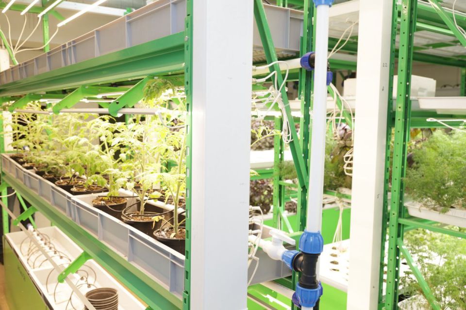 ���������� ������� ����������� ������� ���������� ��������� �� ������ � ����������������