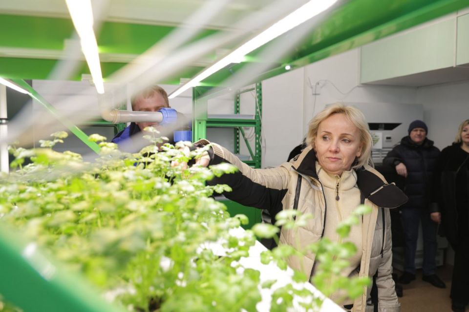 ���������� ������� ����������� ������� ���������� ��������� �� ������ � ����������������