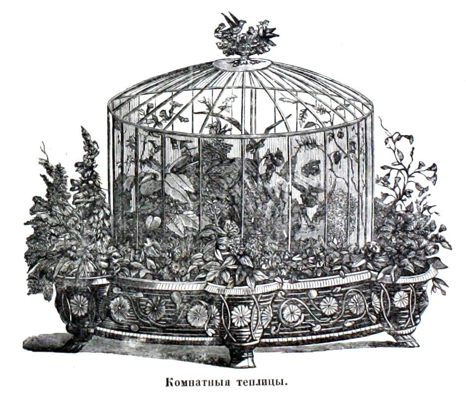 �����, ������� ����������� ���� ����������: �������� ��������� ������������