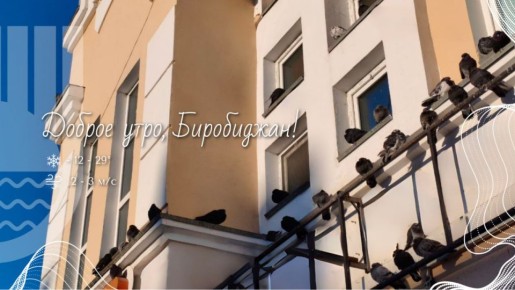 �����, ����������!. ������� � ��� ��� ��� ��������� ������������ ���� �� ���� ���