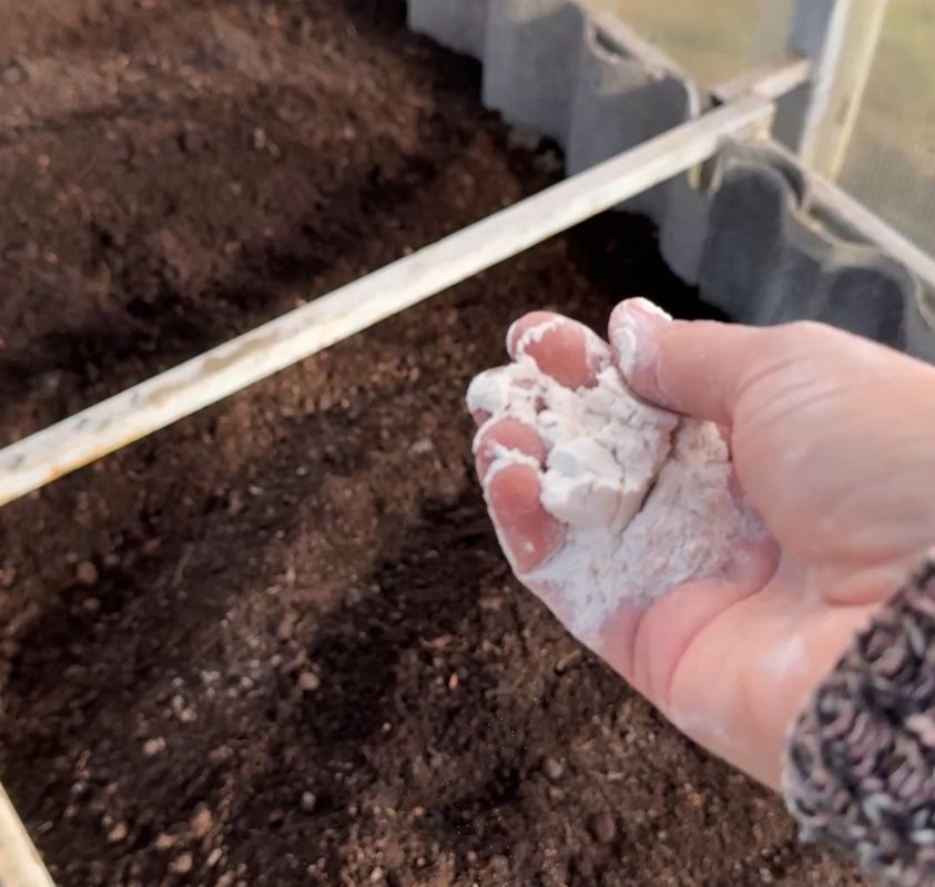 Как осеннее удобрение помогает добиться впечатляющего урожая