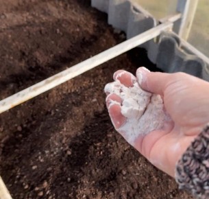 ��� ������� ��������� �������� �������� ������������� ������