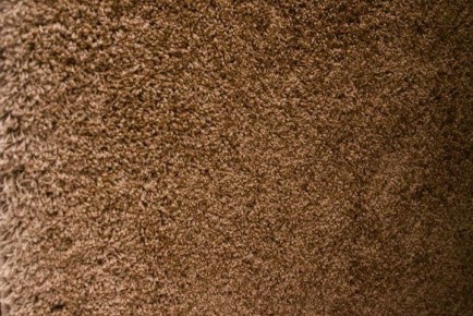 ��� ������ ������� ������� ������ � �����: ��������� �������