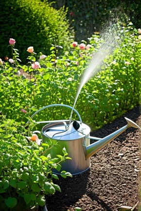 ��� ������� ��������� ������� ����� ��� ������ ����