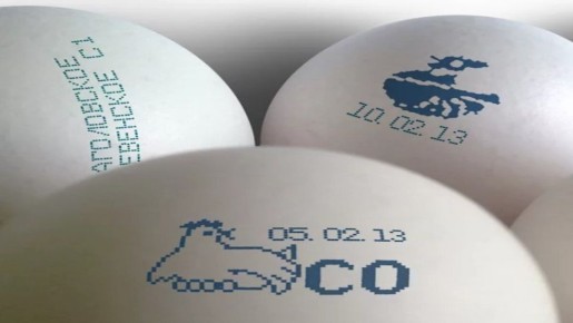 ��� ������� ���� ��� ������ �������� � �� ����������� �� ����