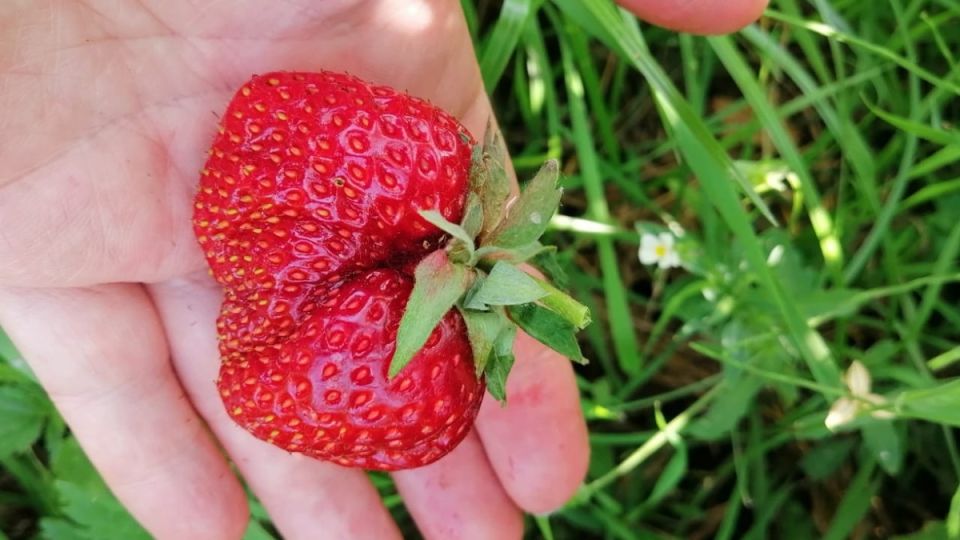 ��� ������� ������� �������� �������� ������� ����� �������� �� �������� �����