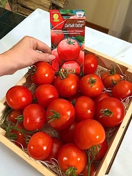 ����� ����� ����: ��������� ����� ��� ������ �������