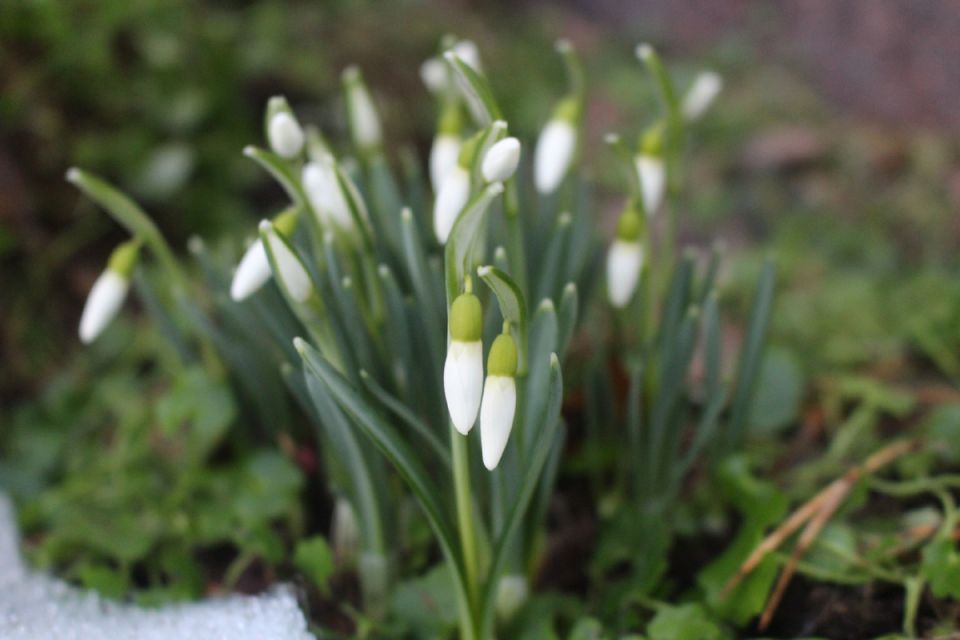 �������� ����� � �������: ��� ������ ������ � ��������