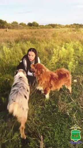 Даже у тех, кто ежедневно стоит на страже нашего спокойствия, бывают моменты тишины и заслуженного отдыха